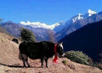 रामेछापबाट सगरमाथाको साउथपोल अवलोकन सकिने बालिथाङ पिक सम्म पहिलो पटक साईaकल यात्रा हुनेे ।