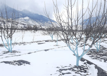 आज दिउँसो देशका दुईवटा प्रदेशमा हिमपात हुने भएको छ।