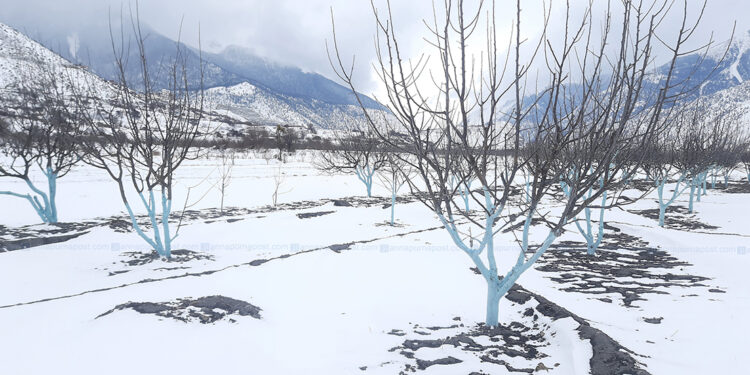 आज दिउँसो देशका दुईवटा प्रदेशमा हिमपात हुने भएको छ।