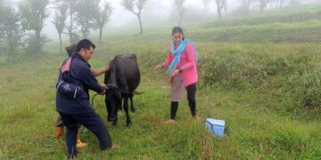 बाम्तीमा लम्पी स्किन रोग नियन्त्रणको भ्याक्सिन अन्तिम चरणमा