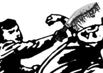 दोलखामा खुकुरी प्रहारबाट बालिकासहित दुई जना घाइते